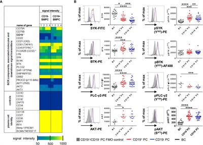 Human IgA-Expressing Bone Marrow Plasma Cells Characteristically Upregulate Programmed Cell Death Protein-1 Upon B Cell Receptor Stimulation